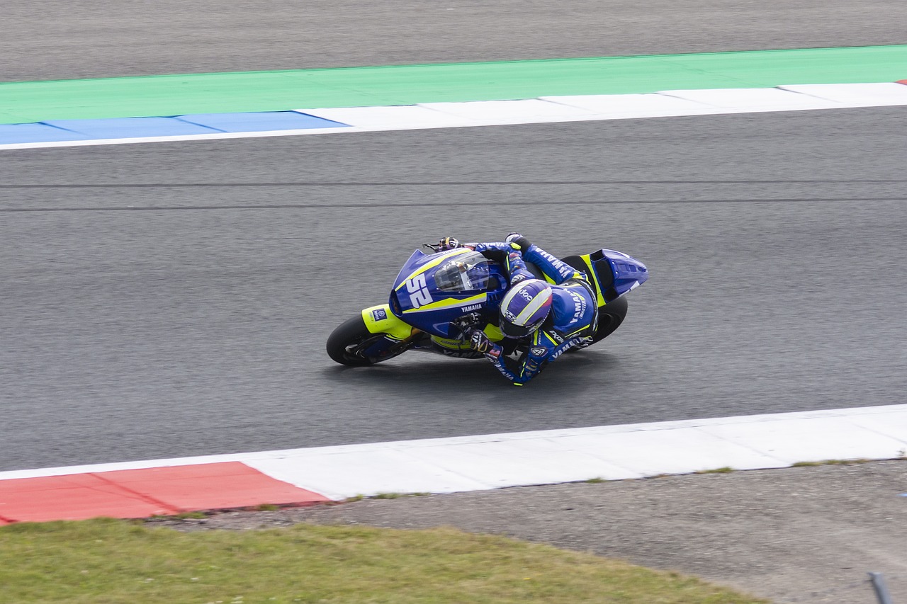 这一战略已 这一战略已