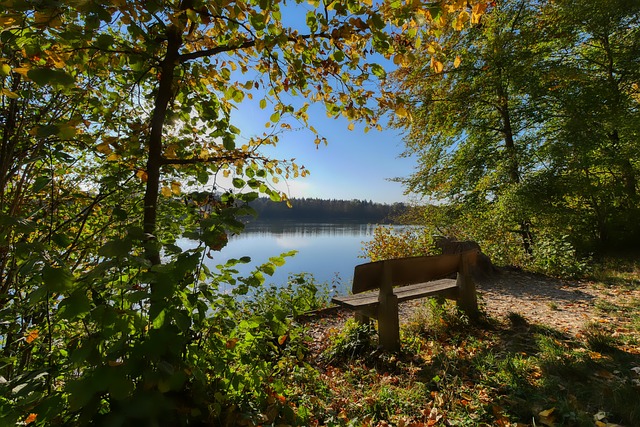 了超强的斗 了超强的斗