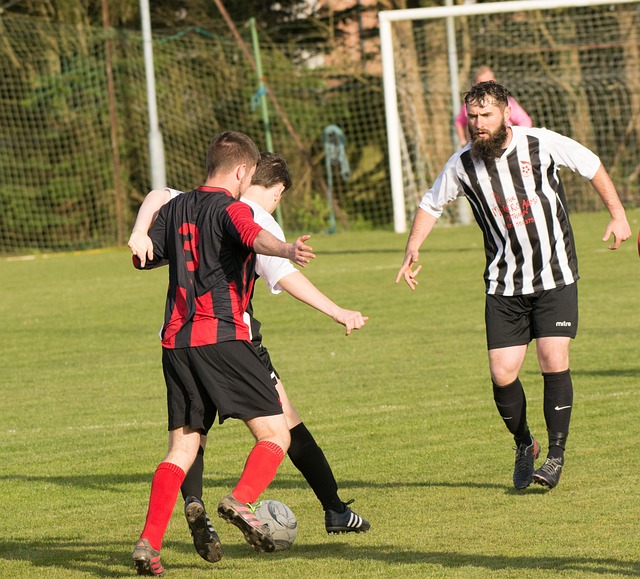 自己的新标 自己的新标